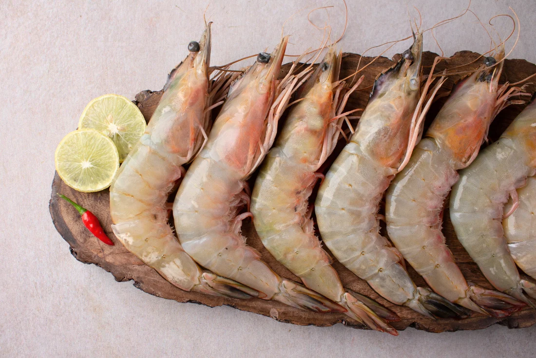 Sea white shrimp, whole