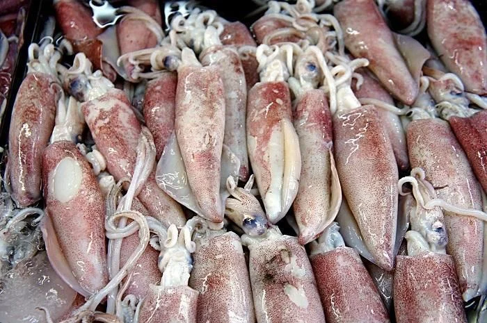 Cleaned squid