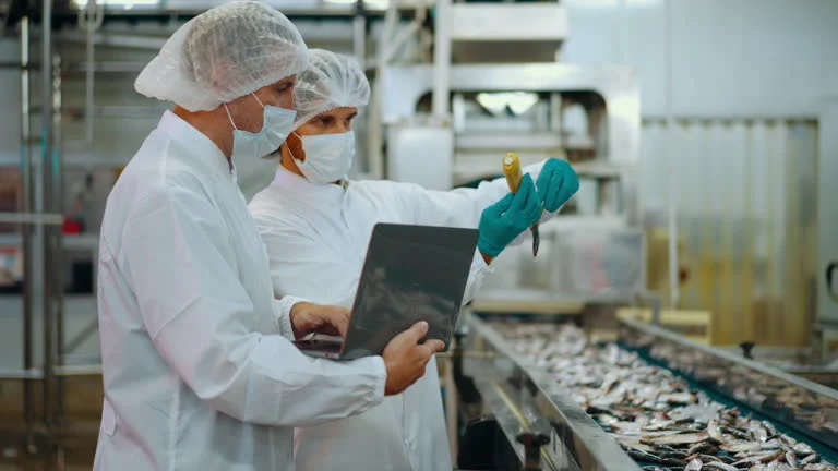 Two technicians in hygiene gear inspect fish on a processing line