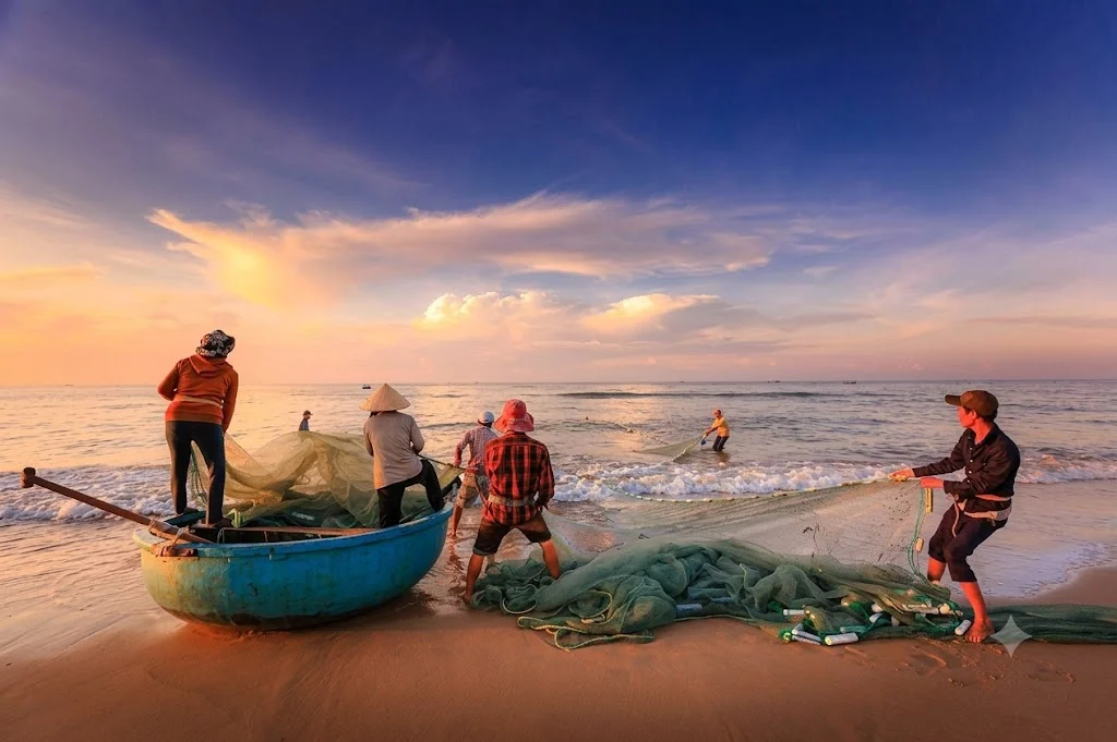 Fishermen pull a net ashore on the beach at sunset